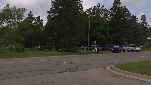 Grandson accused of murdering grandmother in Farmington Hills