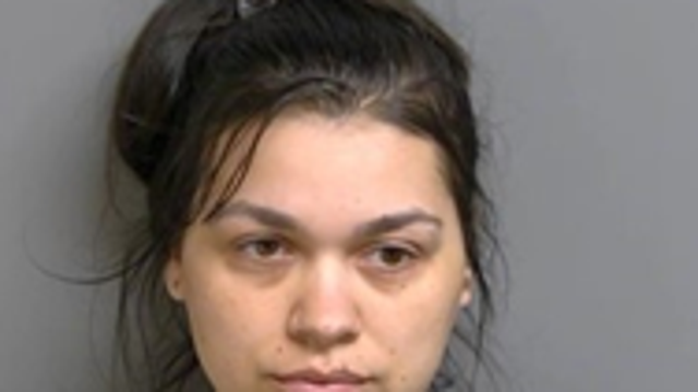 Mount Clemens woman sentenced for distributing child sexually abusive material