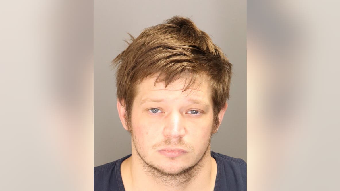 Livonia man charged with sexual assault of 11-year-old girl