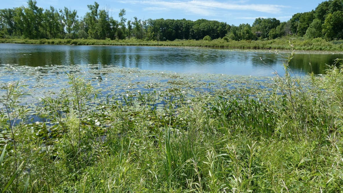 DNR land auction includes riverfront property, forested parcels up for grabs