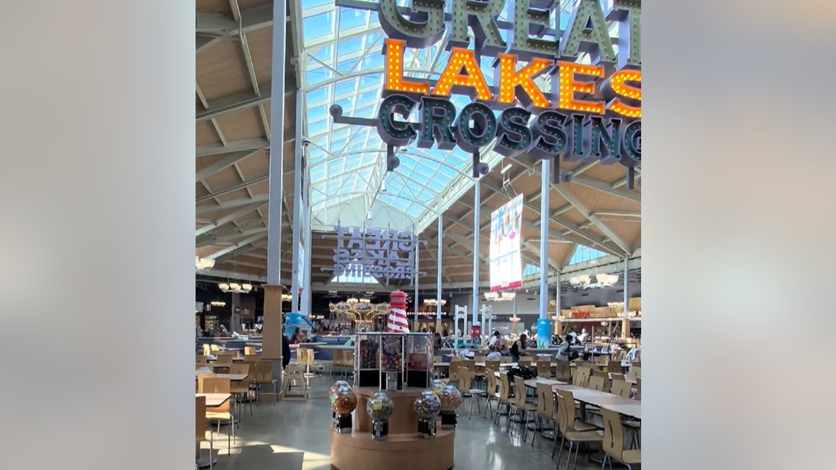 2 shot, one fatally in shooting at Great Lakes Crossing; suspect in custody