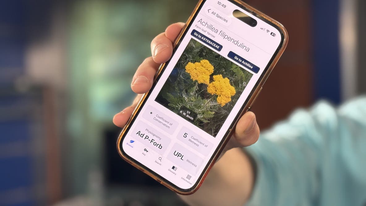 U-M Herbarium launches plant identification app that doesn't need WiFi to work