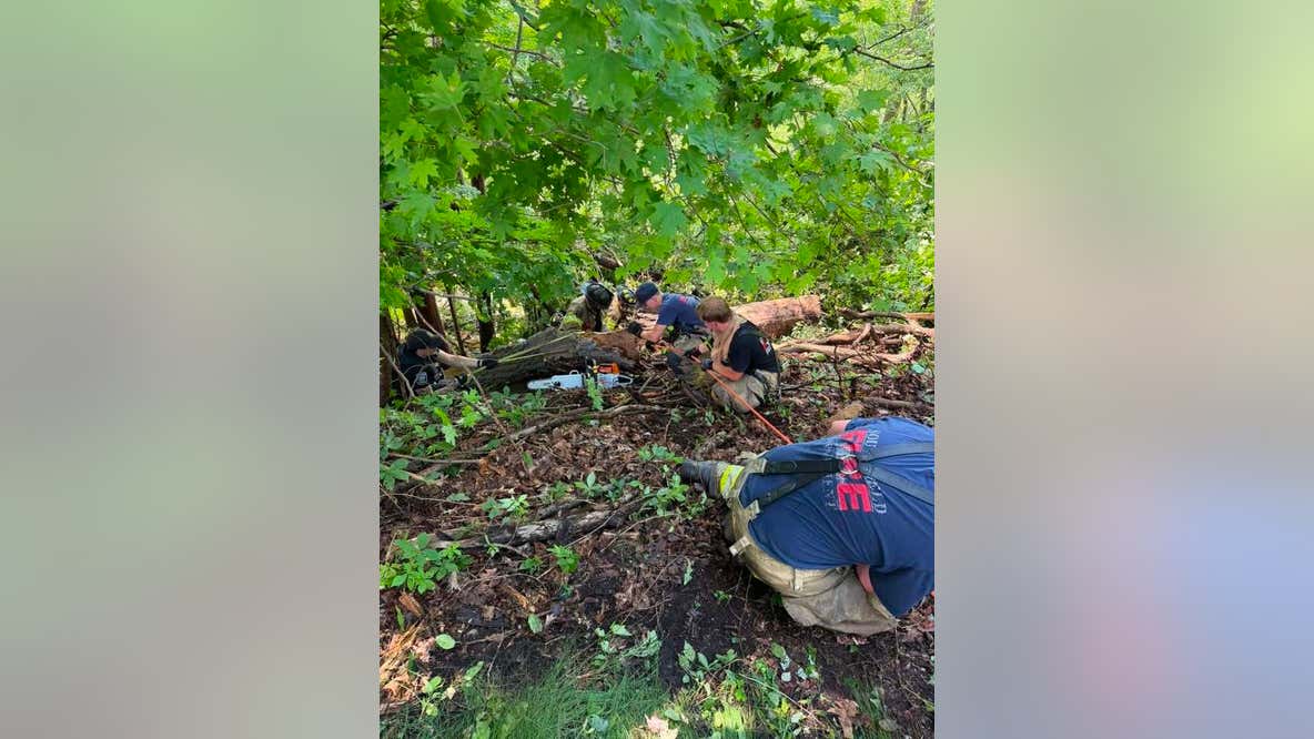 Southfield Fire performs rope rescue of crash victims down 30-foot embankment