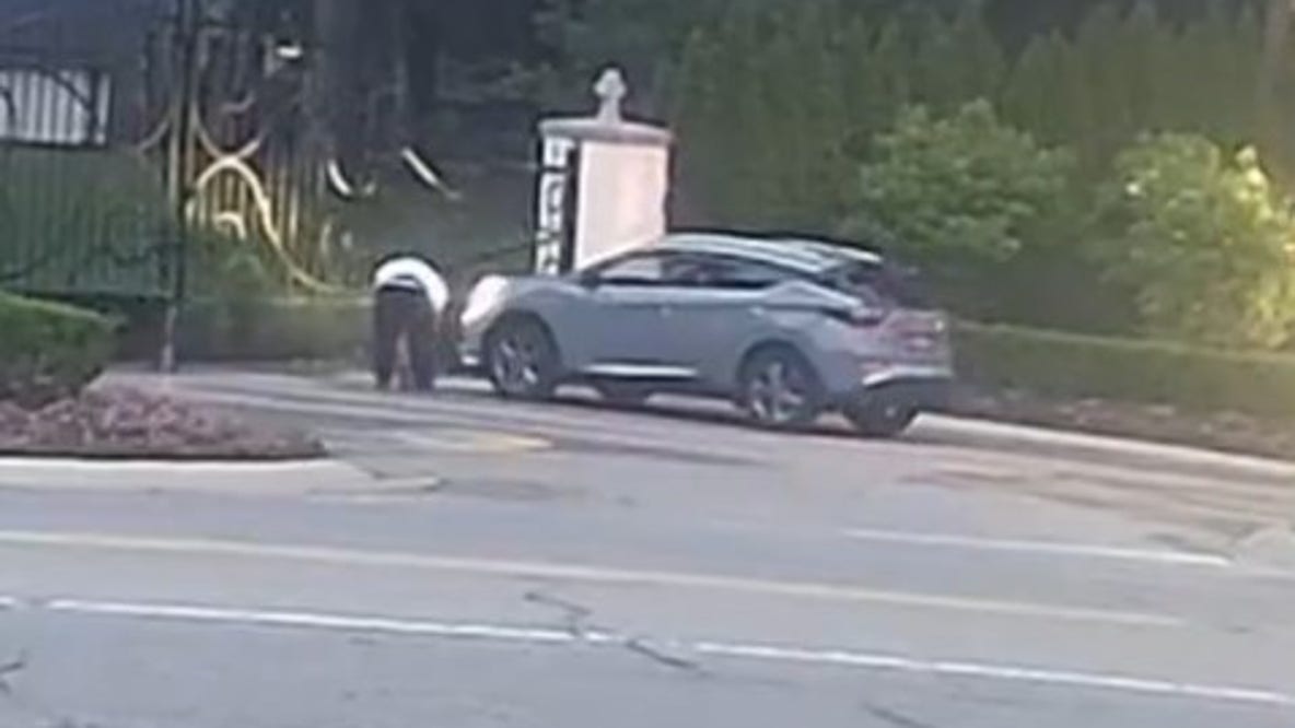 Man dumped animal heads at Southfield cemetery as part of religious practice, police say