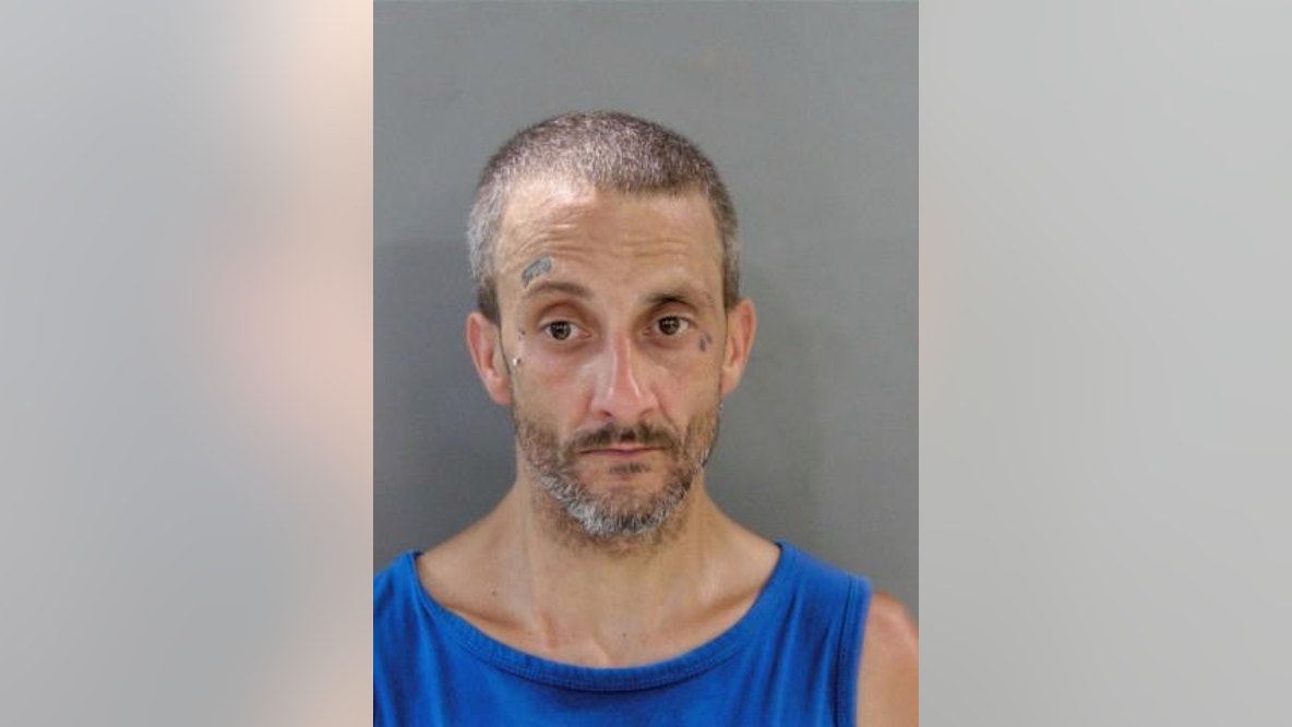 Troy man allegedly lied about Detroit carjacking involving 7-month-old baby