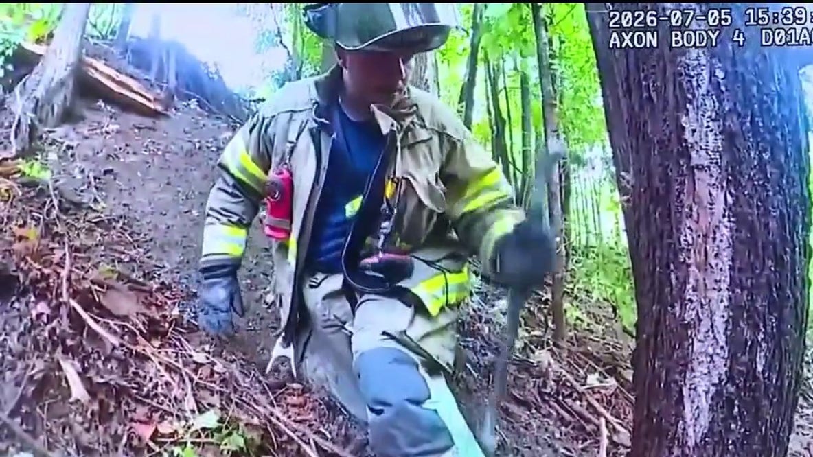 Southfield family rescued from 30-foot embankment after car crash