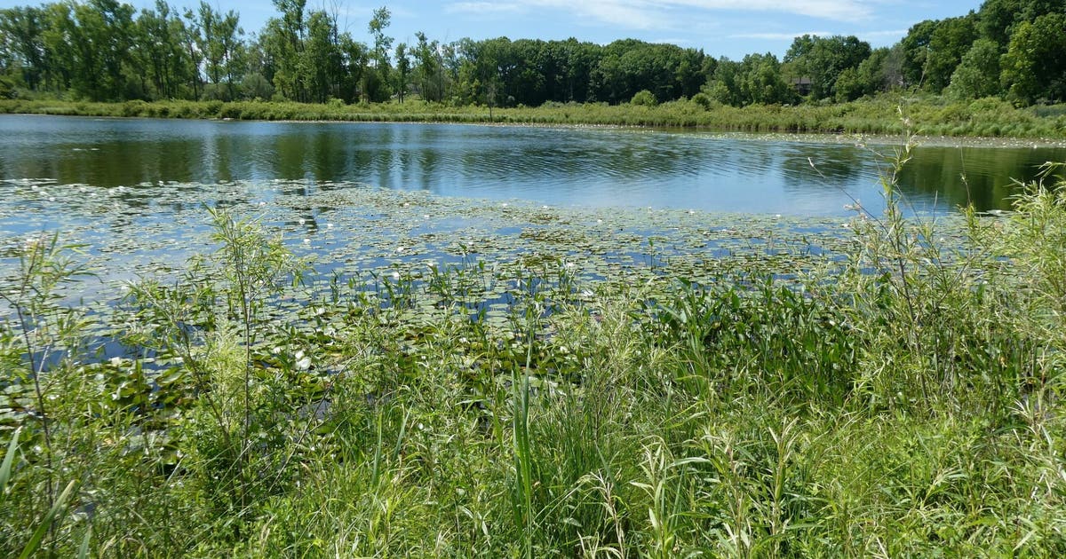 DNR land auction includes riverfront property, forested parcels up for grabs