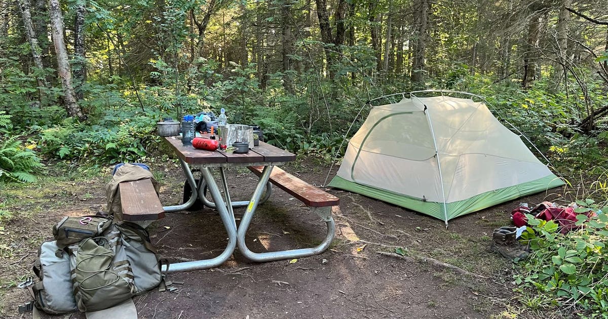 Isle Royale campground closed due to heightened wolf interactions