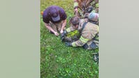 Cat rescued by Rochester Hills firefighters during house fire