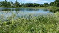Northern Michigan riverfronts and Metro Detroit lake access up for grabs in DNR auction