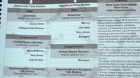 Michigan primary election tomorrow: Voter guide