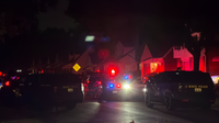Large police presence on Detroit's west side, one person detained
