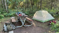 Airhorns and paintball guns: Why NPS is hazing wolves on Isle Royale