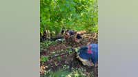 Southfield Fire performs rope rescue after 30-foot embankment crash