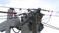 Metro Detroit residents losing patience over power outages as food spoils