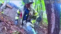 Southfield family rescued from 30-foot embankment after car crash