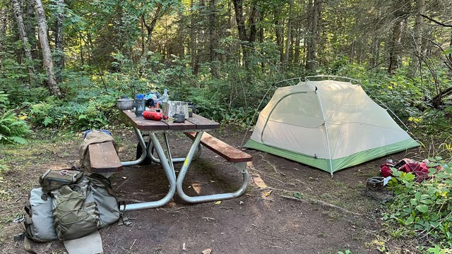 Isle Royale campground closed due to heightened wolf interactions