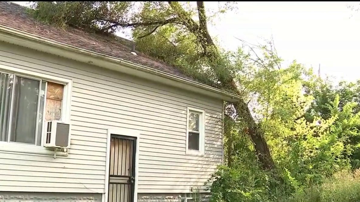 81-year-old Detroit homeowner seeks help after tree falls on home