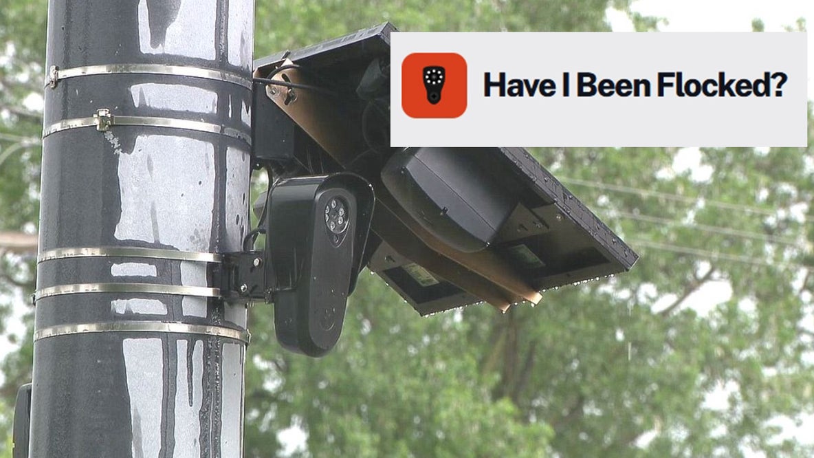 Have you been Flocked? How to check if your license plate is in audit logs