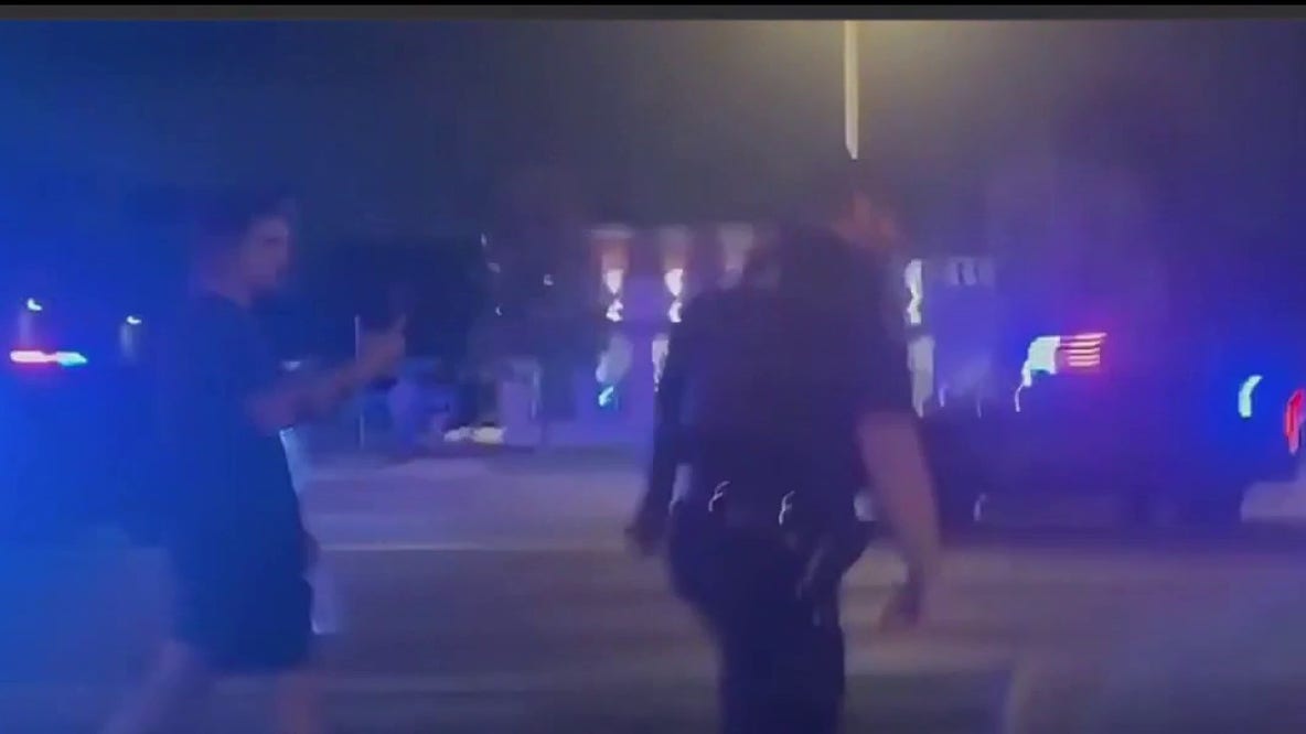 St. Clair Shores officer caught on camera allegedly shoving teen at Harper Cruise