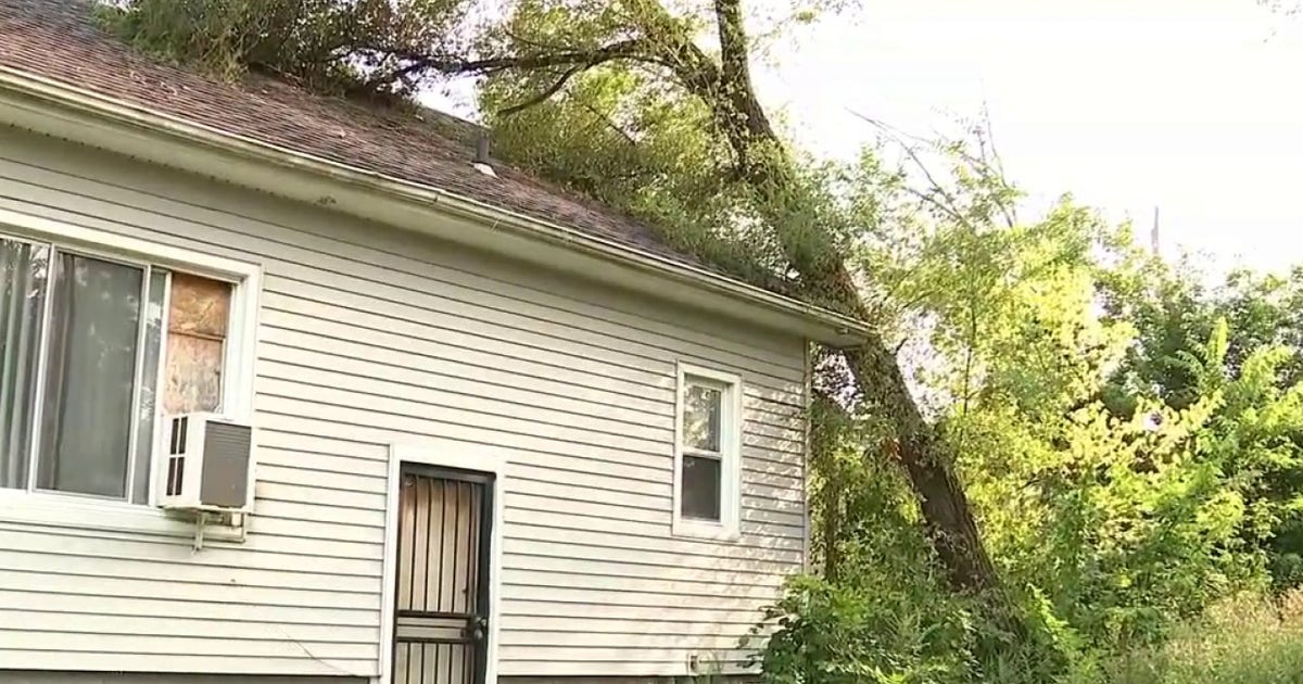 81-year-old Detroit homeowner seeks help after tree falls on home
