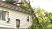 81-year-old Detroit homeowner seeks help after tree falls on home