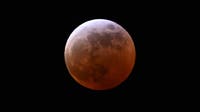 Metro Detroit weather: Lunar eclipse tonight