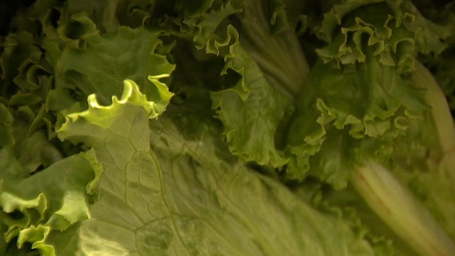 Cyclosporiasis in Michigan: Cases declining, lettuce guidance lifted