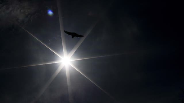 Partial solar eclipse in Michigan Wednesday
