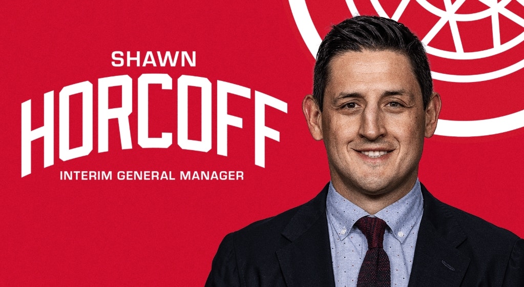 Red Wings name Shawn Horcoff interim general manager