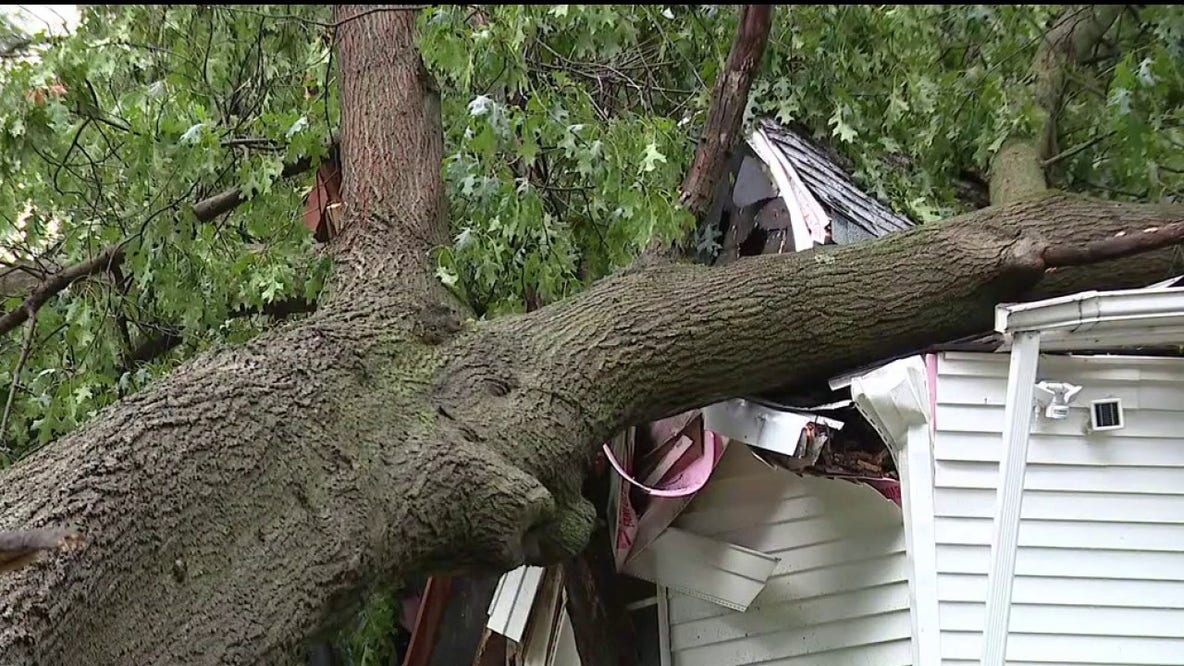 Detroit father shields newborn daughter as tree crashes onto home during storms
