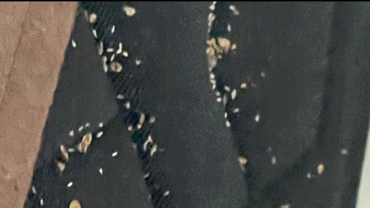 Harper Woods senior housing complex allegedly infested with bed bugs, residents say