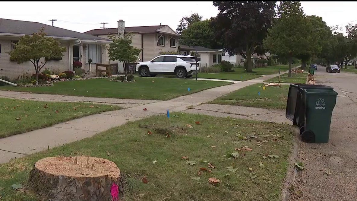 Clawson residents sound off after 70 mature trees were marked to be cut down