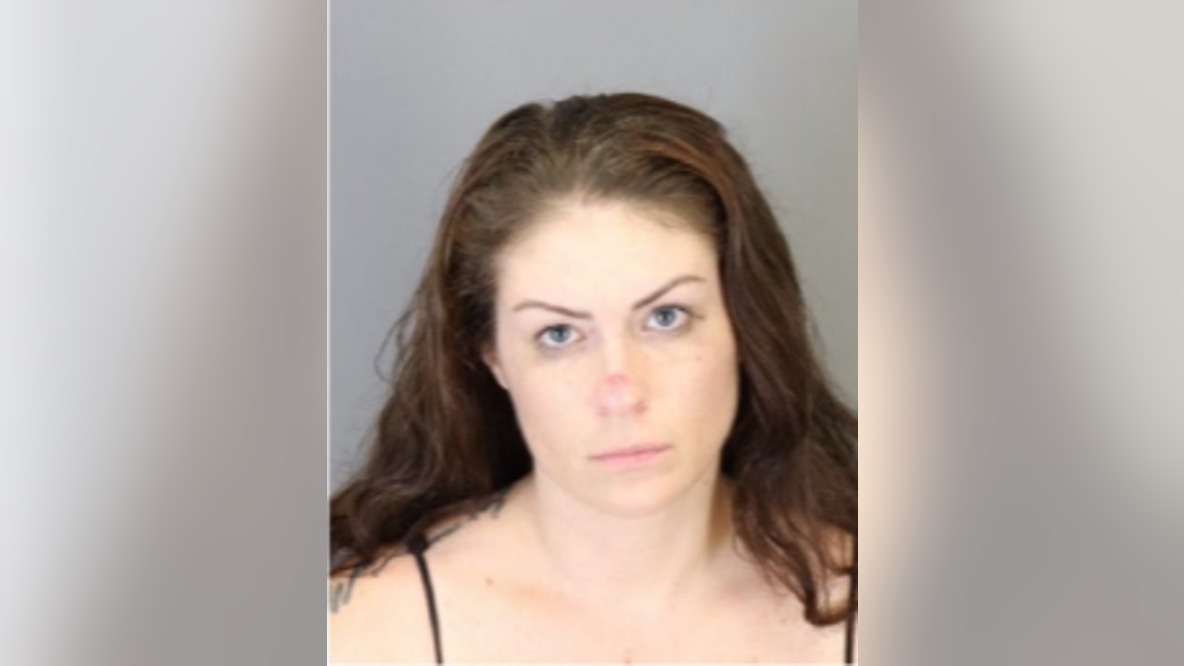 Metro Detroit human trafficking suspect arrested, faces multiple felony charges