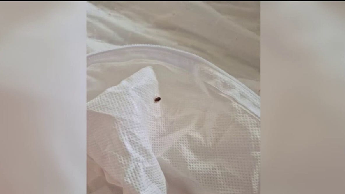 'Disgusted and downright angry,' Southgate senior living facility residents report bed bugs