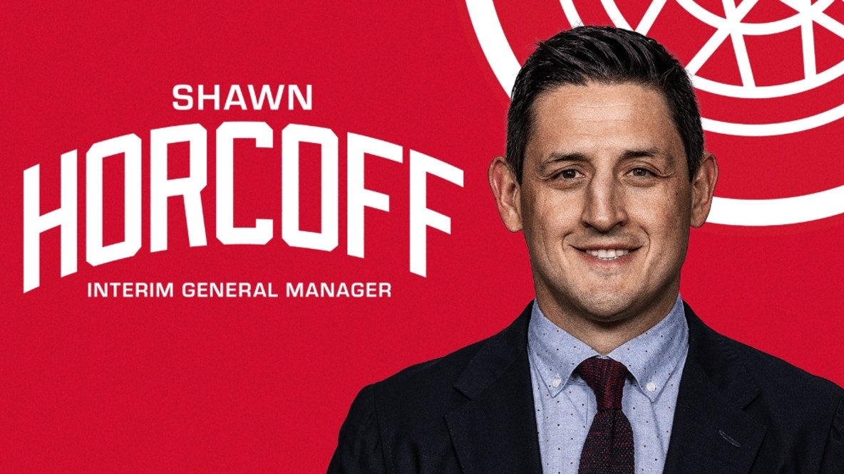 Red Wings name Shawn Horcoff interim general manager
