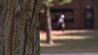 Farmington School Board meeting: Parents sound off against antisemitism