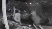 Oakland County porch pirates caught on camera stealing packages, police investigating