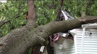 Detroit father shields newborn daughter as tree crashes onto home during storms
