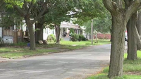Child killed in shooting on Brace Street in Detroit