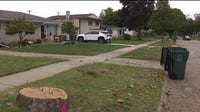 Clawson residents sound off after 70 mature trees were marked to be cut down
