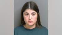 St. Clair Shores woman sentenced to weekends in jail for deadly hit-and-run