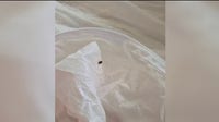 'Disgusted and downright angry,' Southgate senior living facility residents report bed bugs