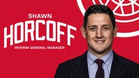 Red Wings name Shawn Horcoff interim general manager