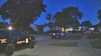 Dog shot after suspect opens fire into Southfield home