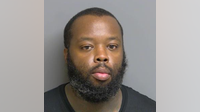 Mount Clemens man charged with animal torture after allegedly killing kitten