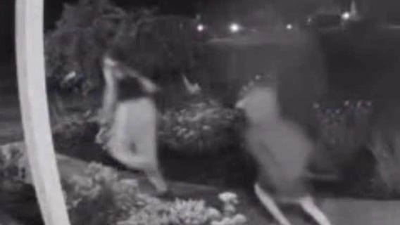 Oakland County porch pirates caught on camera stealing packages, police investigating
