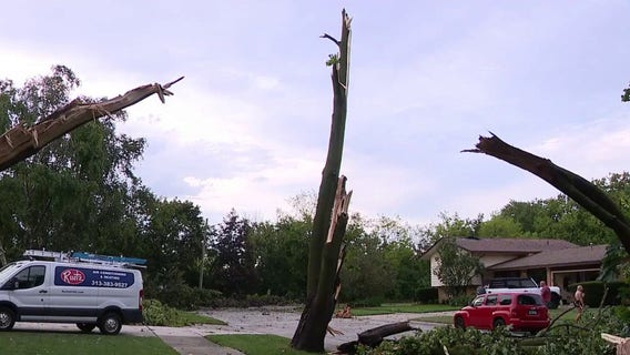 Allen Park impacted by severe storm damage as power outages effect Metro Detroit