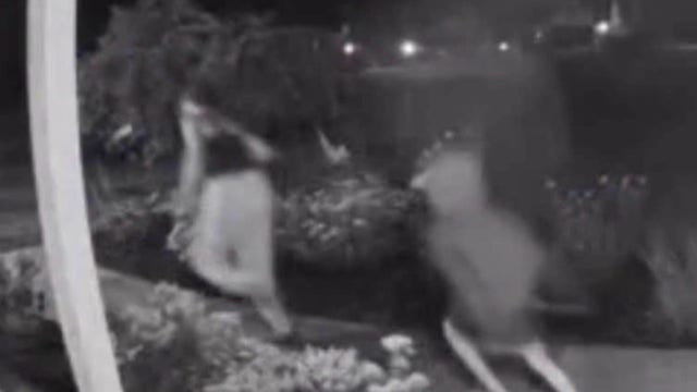 Oakland County porch pirates caught on camera stealing packages, police investigating