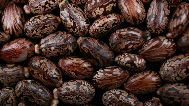 FBI investigating possible ricin contamination in Hastings